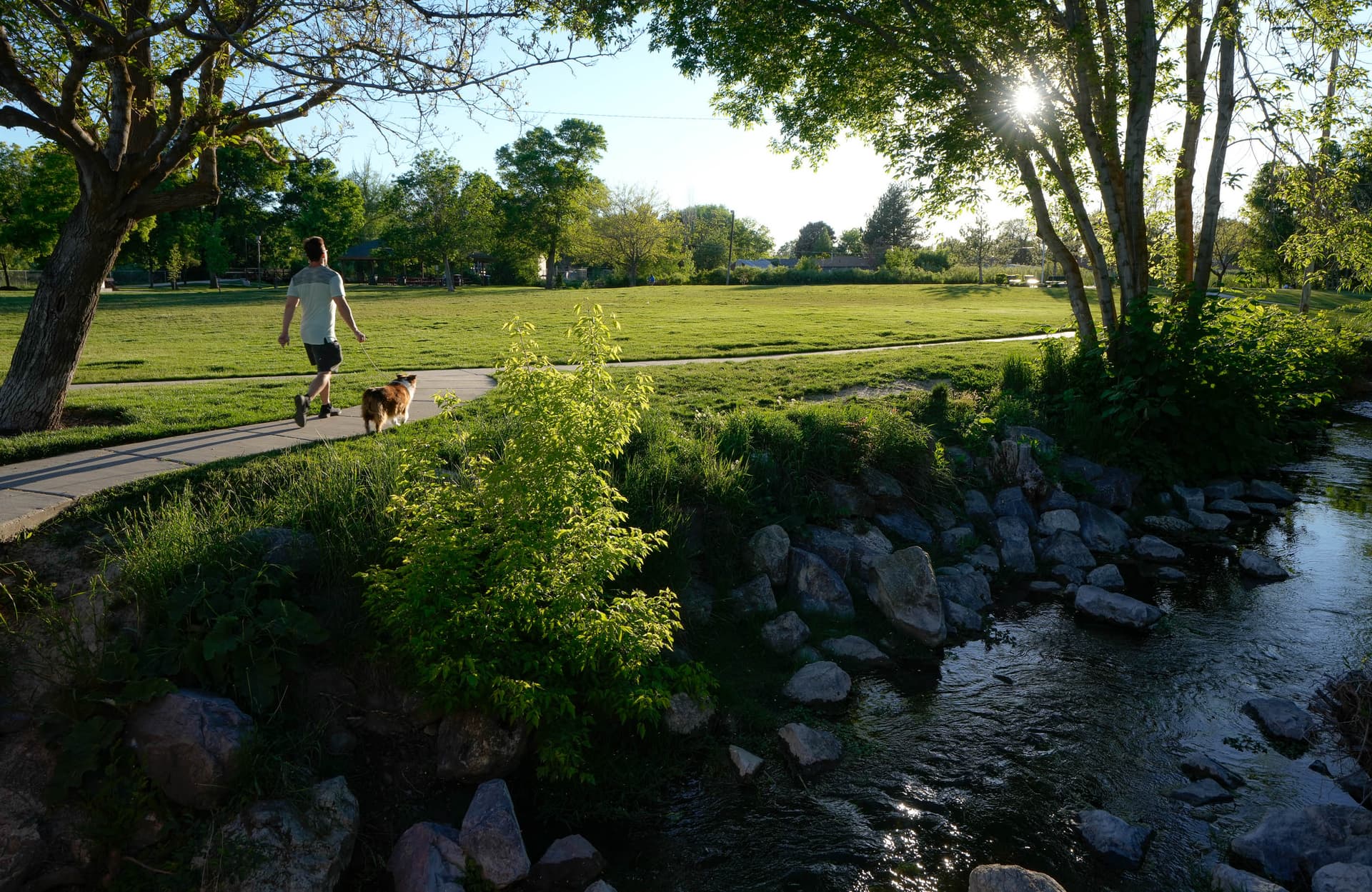 Trees and Greenspace Linked to Better Health Outcomes Across U.P. Communities