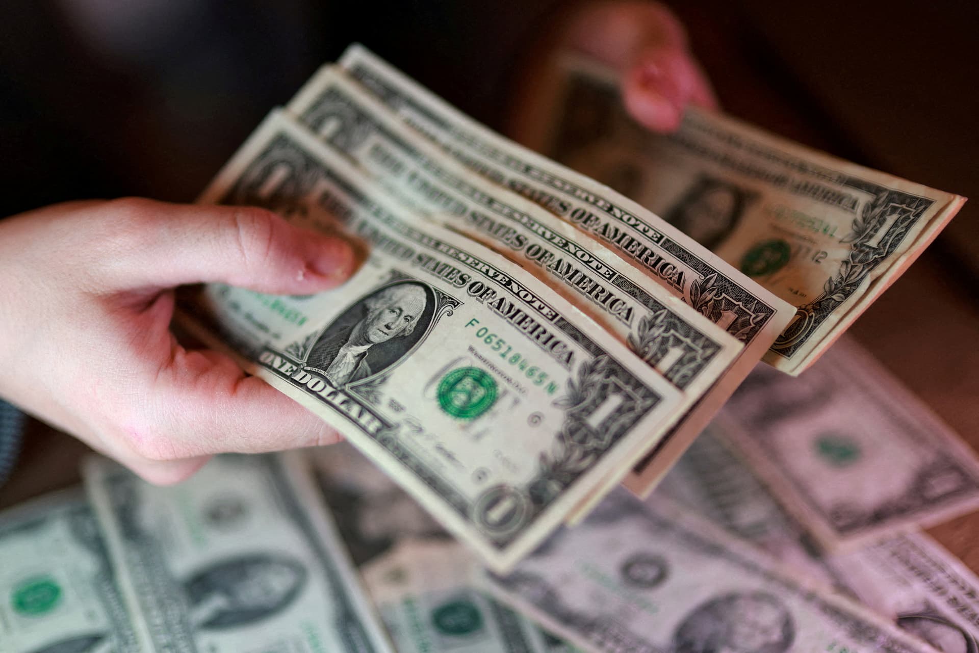 Dollar hits 13-month high as investors bet on Fed hike