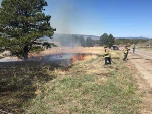 Castle Rock begins 23-acre wildfire mitigation at Metzler Family Open Space