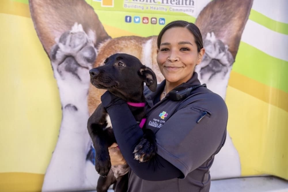 Harris County Pets Expands $40 Low‑Cost Spay/Neuter Clinics in February