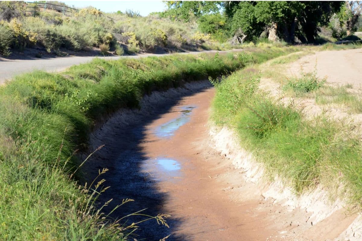 Abysmal 2026 irrigation forecast imperils Corrales farms and river projects