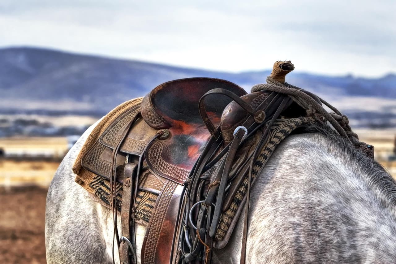 USA Today travel feature spotlights Albany County’s cowboy culture, tourism appeal
