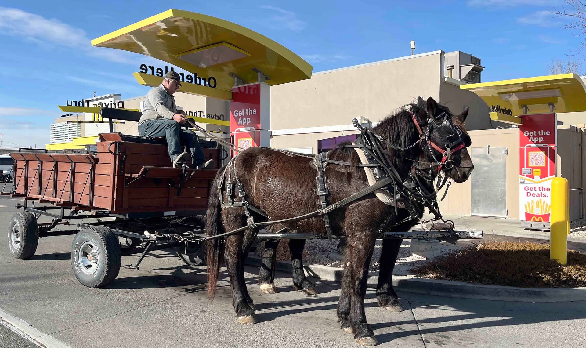 Powell Farmer Brought Horses to Drive‑Thru; McDonald’s Apologizes, Reverses Ban
