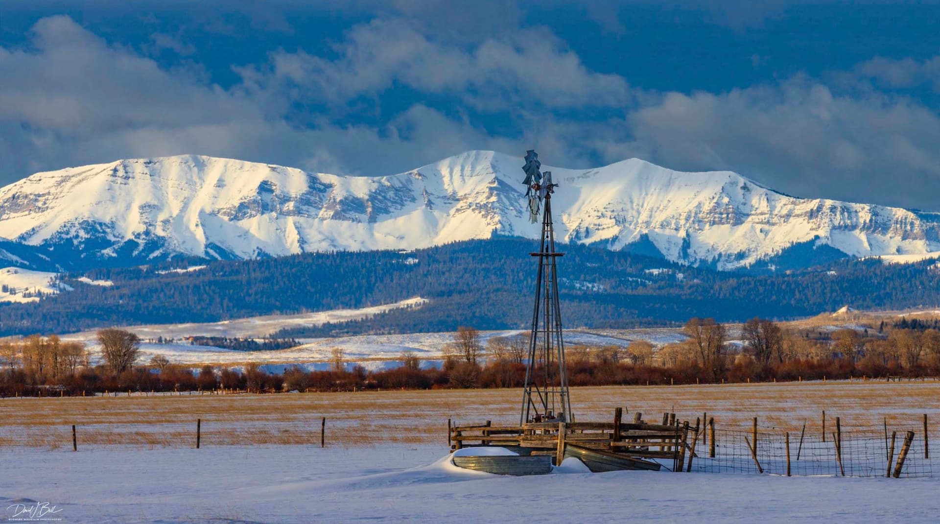 Winter Gusts and Mixed Precipitation Strain Albany County Travel
