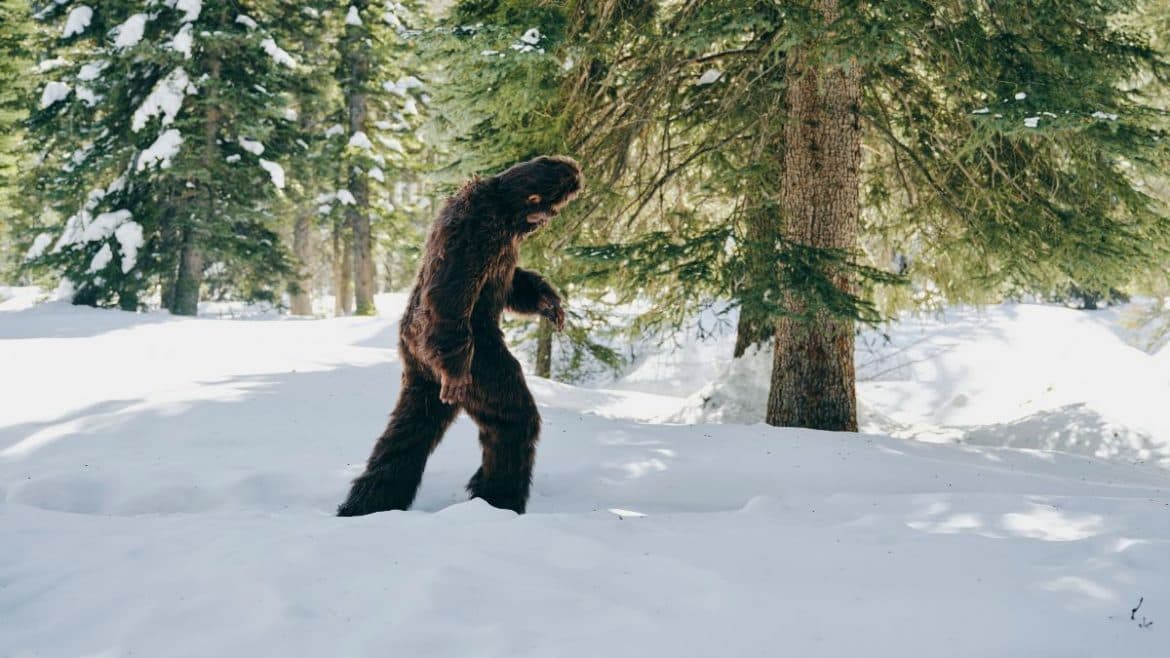 Hairyman Legend Endures in Vergas as Sightings Fade Since 1990s