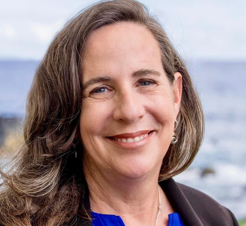 Big Island council race set, four open seats reshape 2026 ballot
