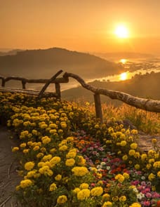 Booneville's Mila Abner, Beloved Community Member, Dies at 99