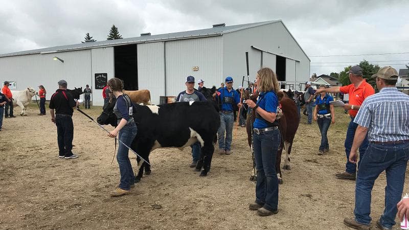 Lewis and Clark Extension Hosts Free 4-H Livestock DIY Expo Feb. 21