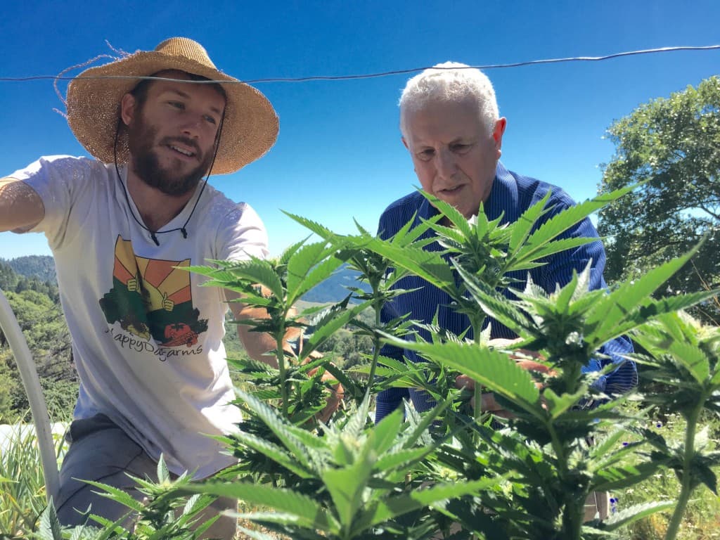 Humboldt Planning Commission Approves Four Cannabis Farms on Larabee Valley Parcel