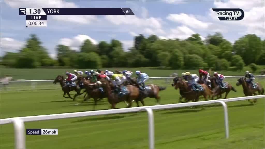 York’s huge fields offer Royal Ascot-style betting puzzle