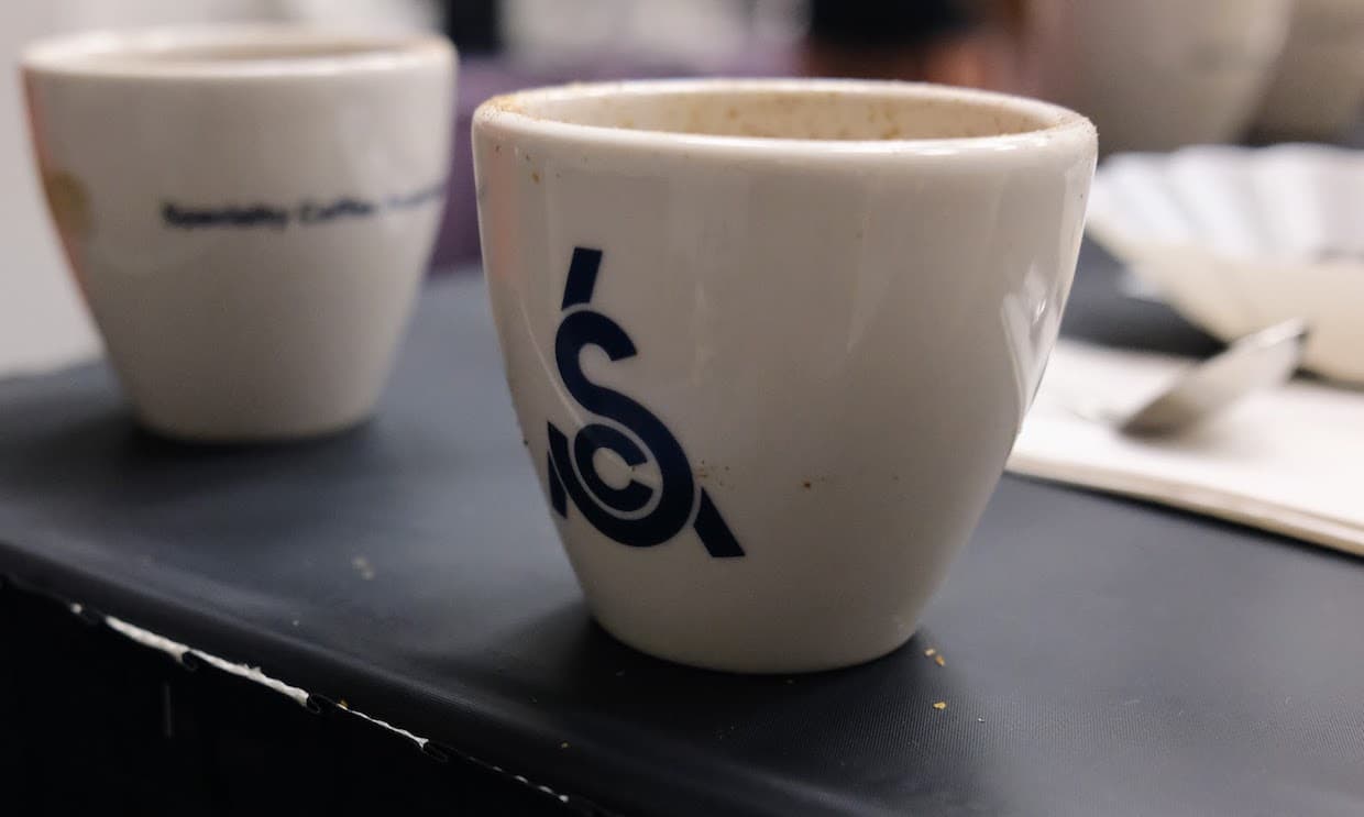 SCA Names Coffee Circle and Bean Voyage Its 2026 Sustainability Award Winners