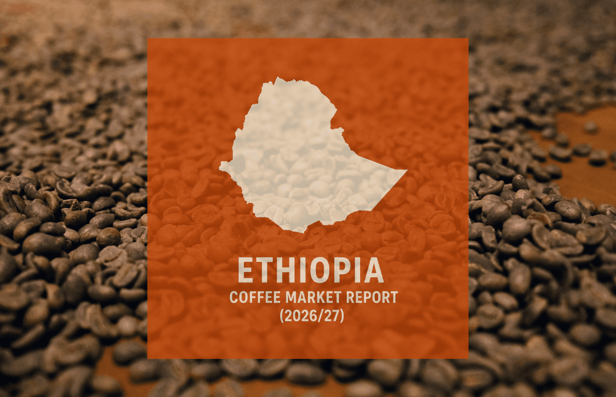 Ethiopia coffee output seen rising, China gains as key export market