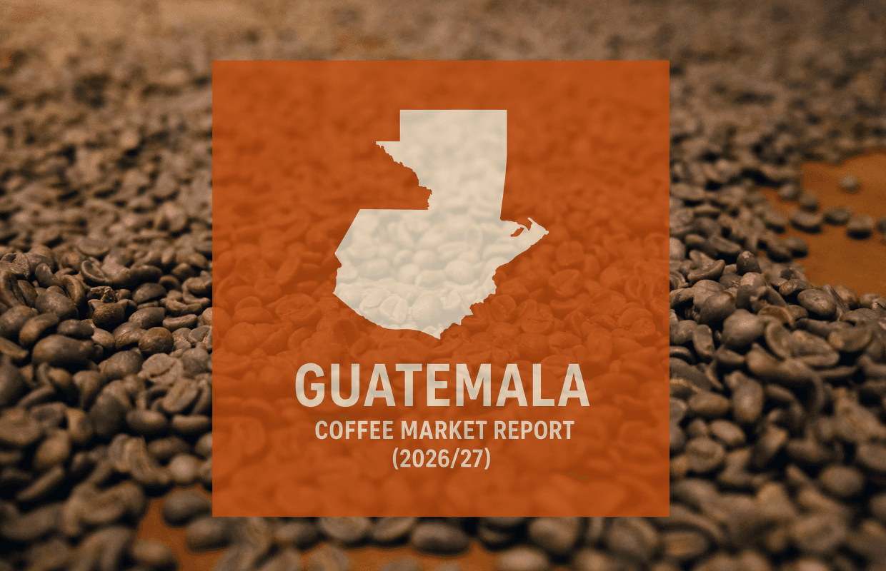 Guatemala coffee output and exports set to rise in 2026/27, USDA says