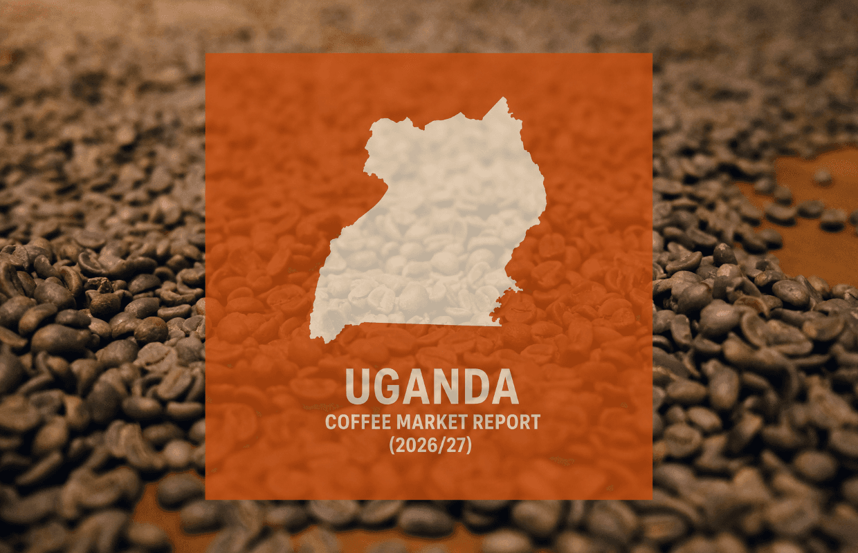 Uganda coffee output to rise modestly as value-added push grows