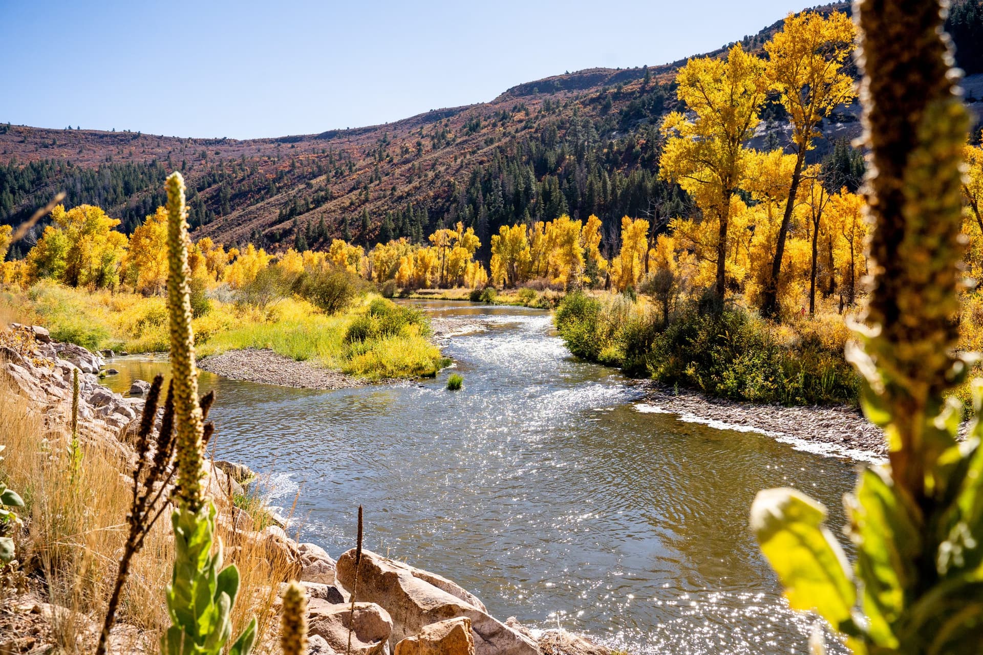 Dolores River update pairs flow check with Indigenous art exhibit
