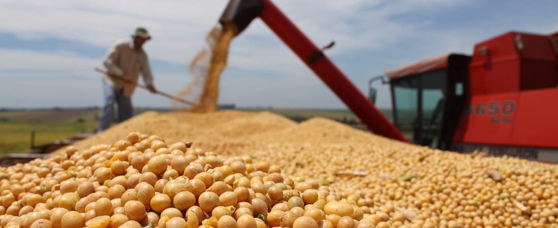 Safras projects Brazil soybean exports to slip about 3% in 2026