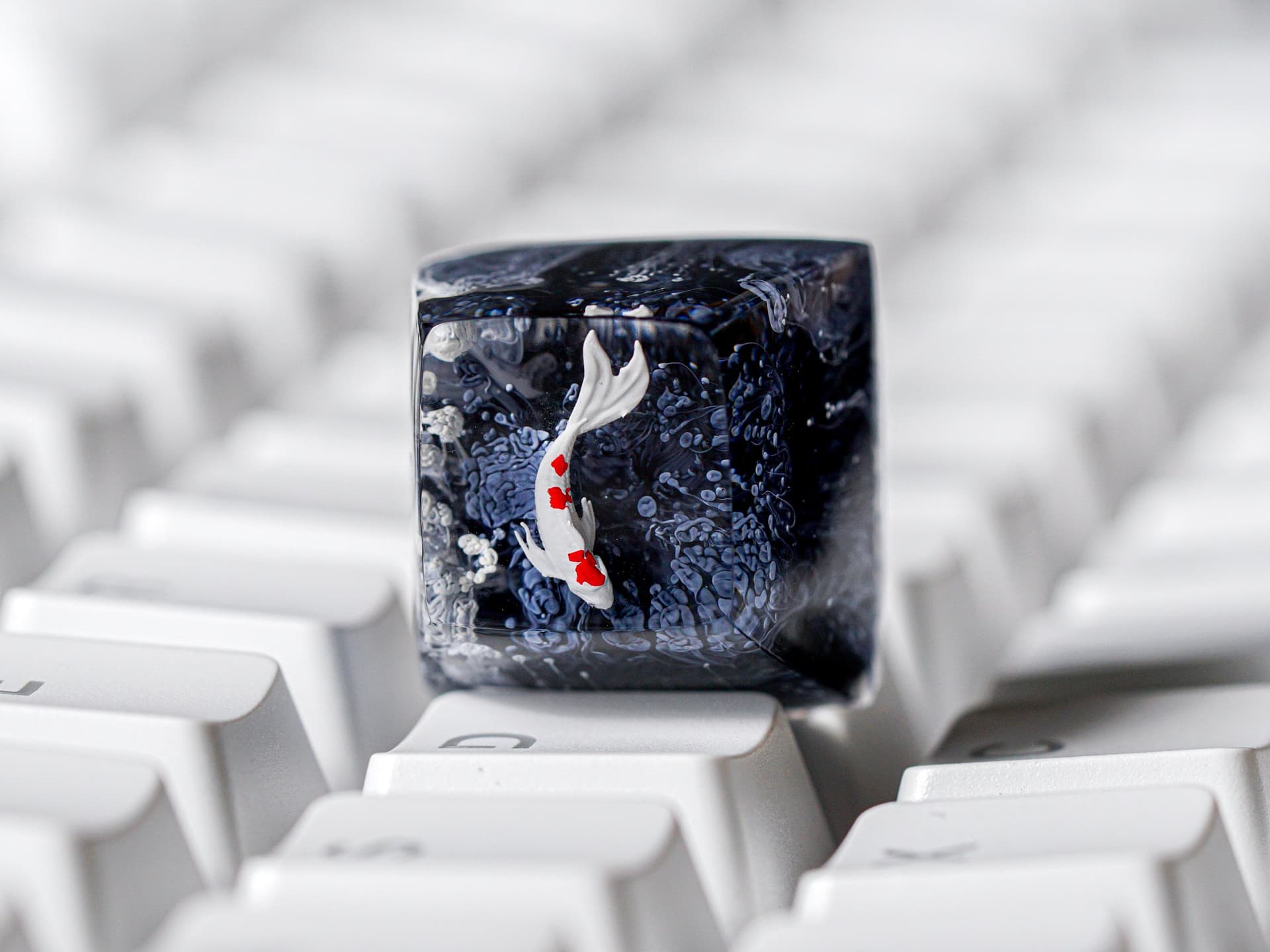Sensitive Works Opens Koi Keycap Interest Check, Community Response Begins