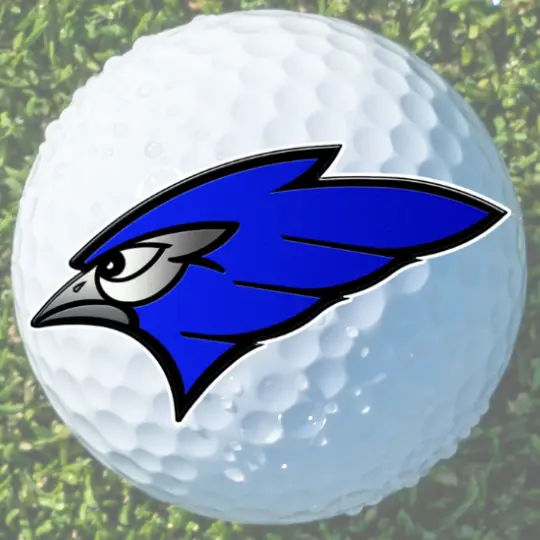 Jamestown boys golf posts season-best eighth at home invite