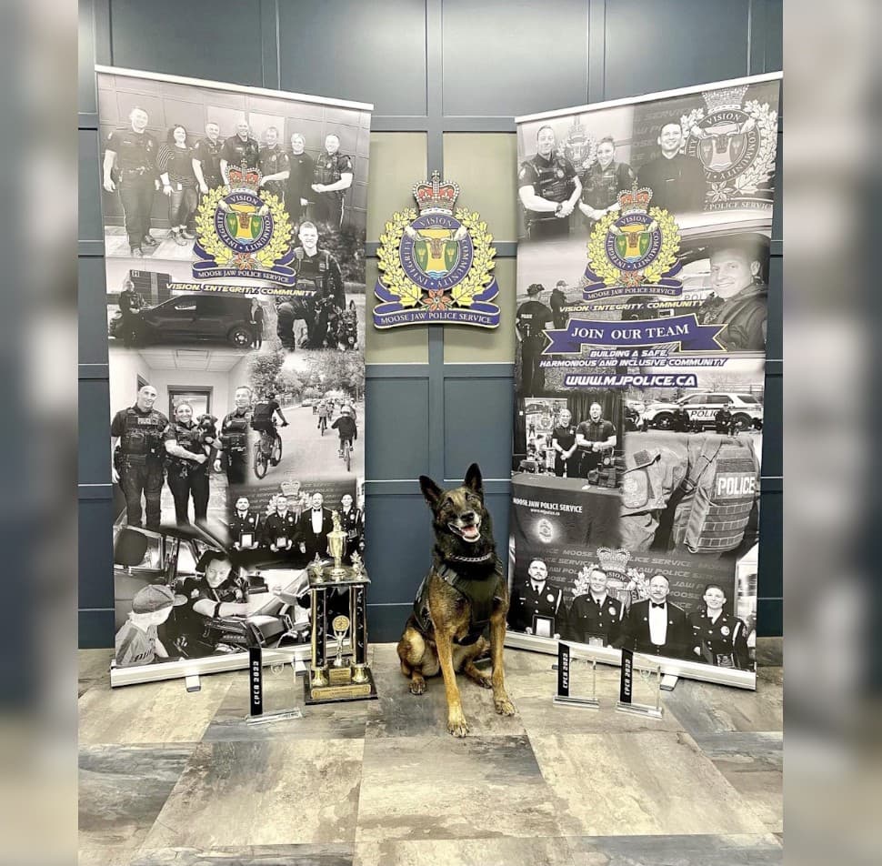 Moose Jaw police dog True retires after final shift with handler