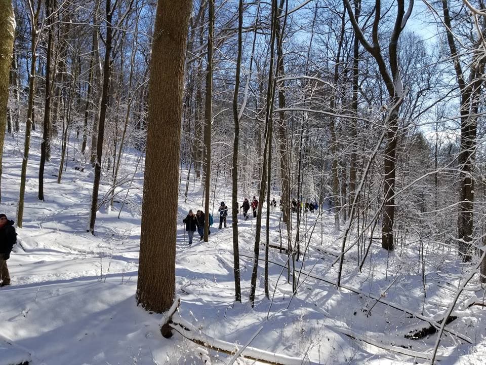 Mohican State Park offers trails, facilities and winter tips