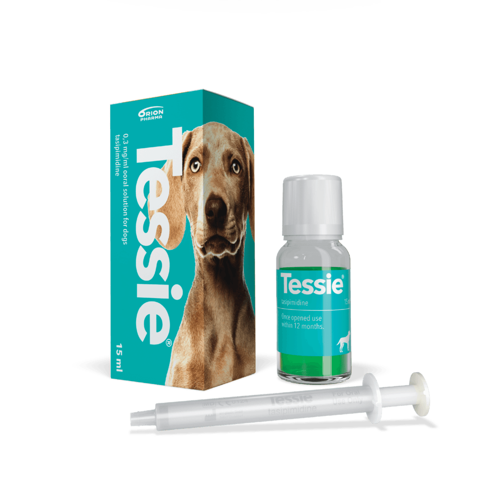 FDA approves first dog drug for noise aversion and separation anxiety