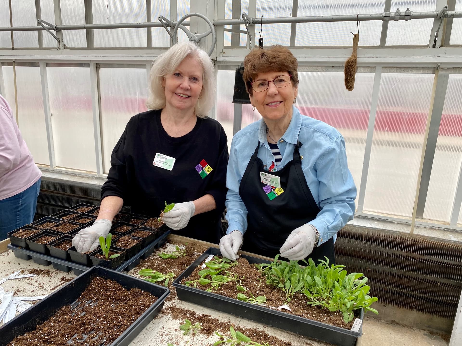 Guymon February Events Include Master Gardener Training, Library StoryTime, Auctions