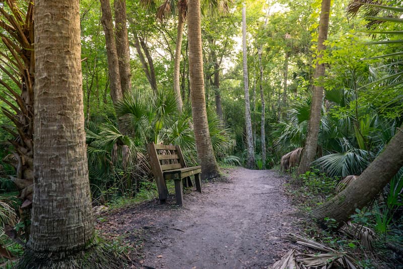 Seminole County Parks, Trails, and Family Attractions Worth Exploring