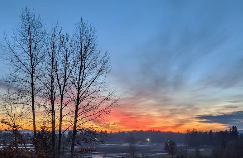 Army Corps Seeks Public Input on Fern Ridge Master Plan Update