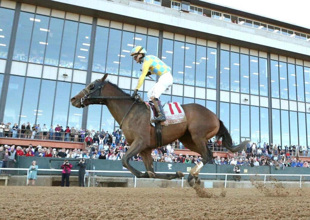 Silent Tactic Breezes Five Furlongs, Sets Sights on Arkansas Derby