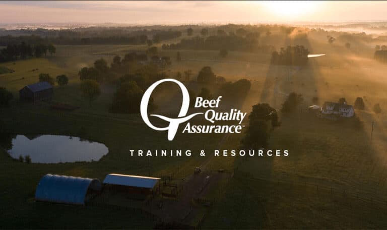 Free Beef Quality Assurance training offered in Autaugaville
