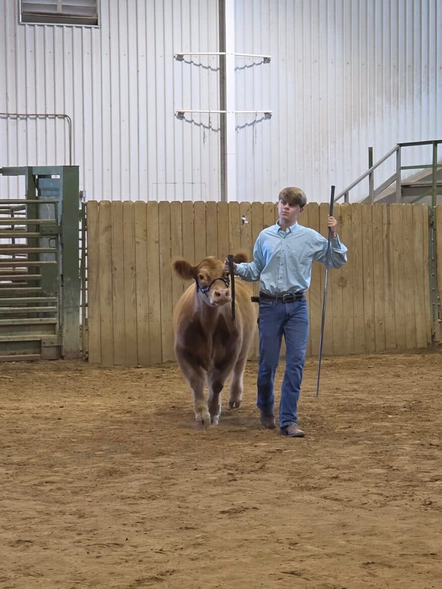 Three Autauga County FFA Members Win National SAE Grants