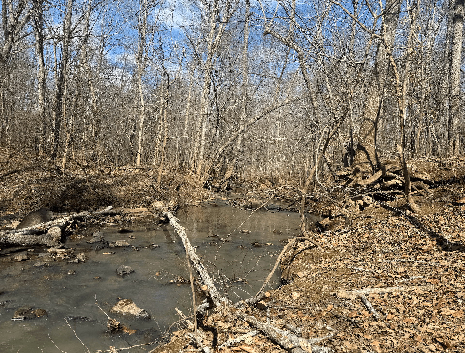 Elon Biology Major Joins Haw River Assembly as River Watch Intern