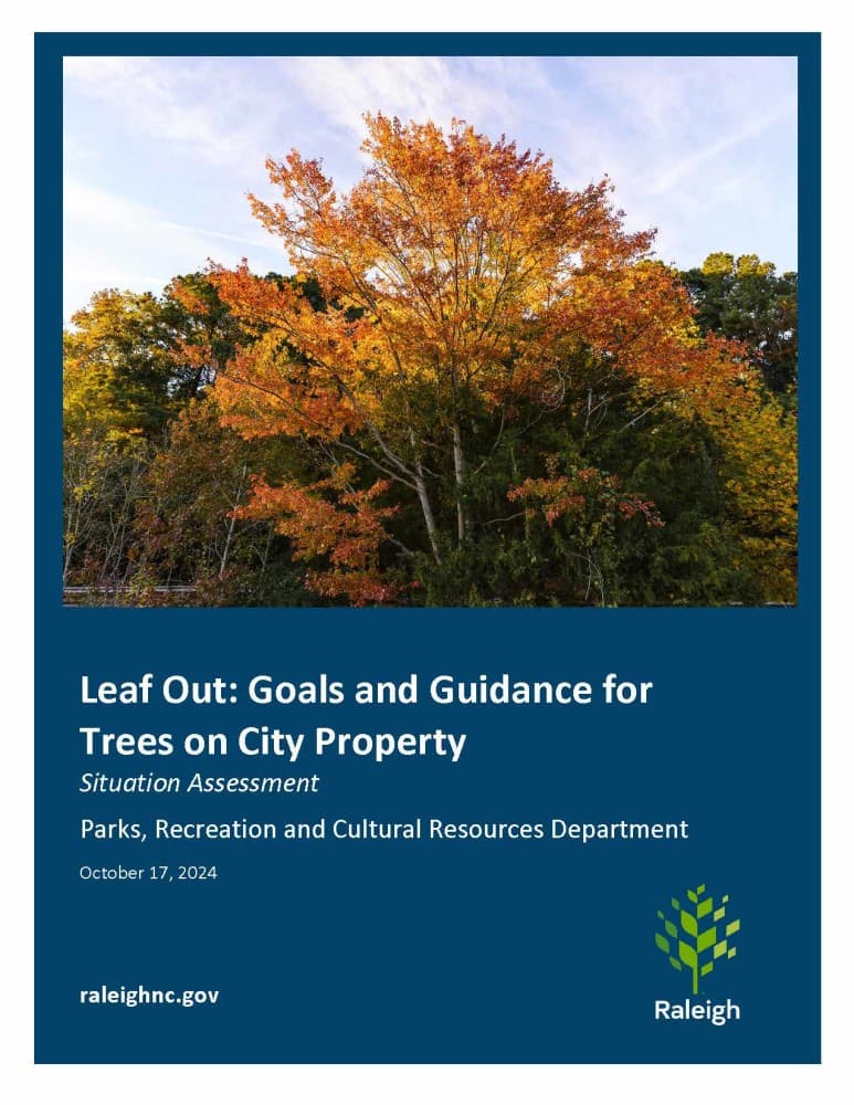 Raleigh Plans to Plant 24,000 Trees by City's 240th Anniversary