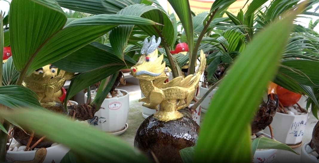 Artisan Đào Thanh Tùng Crafts Coconut Bonsai Horses for Tết Market