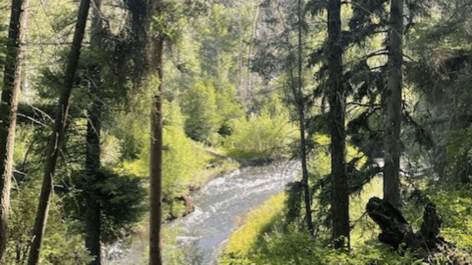 Catherine Creek State Park Offers Canyon Trails, Fishing and Camping