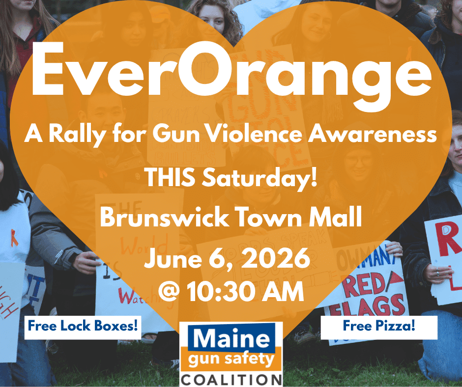 Brunswick rally marks gun violence awareness day, offers free lockboxes