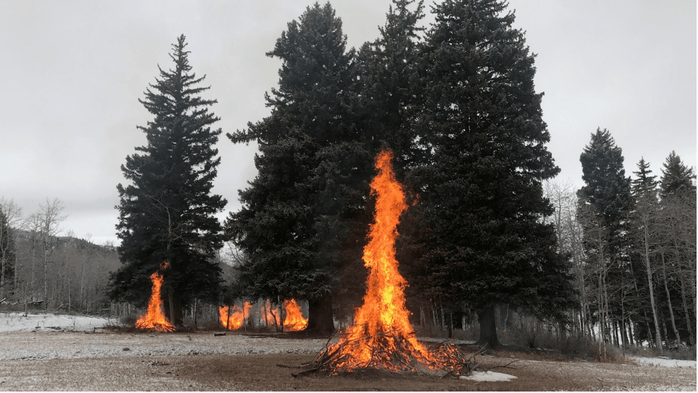 Manti-La Sal National Forest Plans Prescribed Burns Across South Zone This Spring