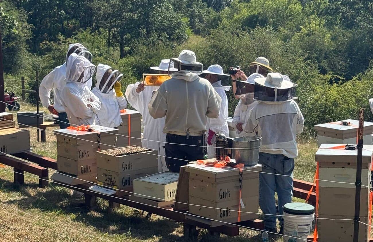 Lane County Beekeepers Association Hosts Full-Day Beginner Workshop in Eugene