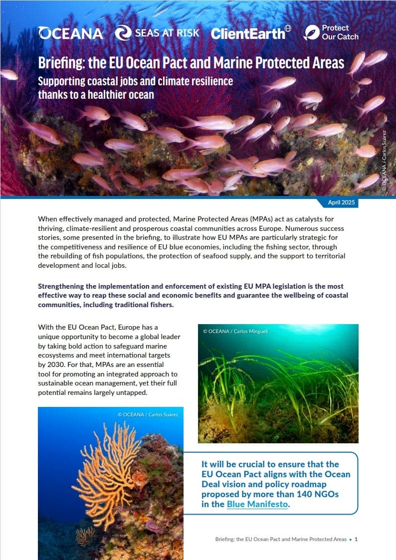 EU Launches Public Consultation on Ocean Act Shaping Future Tuna Management