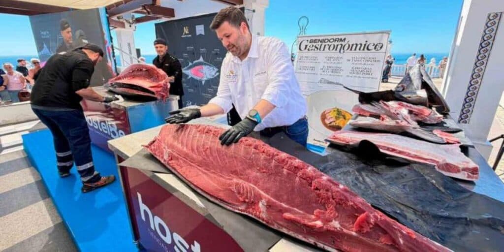 Benidorm tuna festival celebrates bluefin, almadraba heritage, and local identity