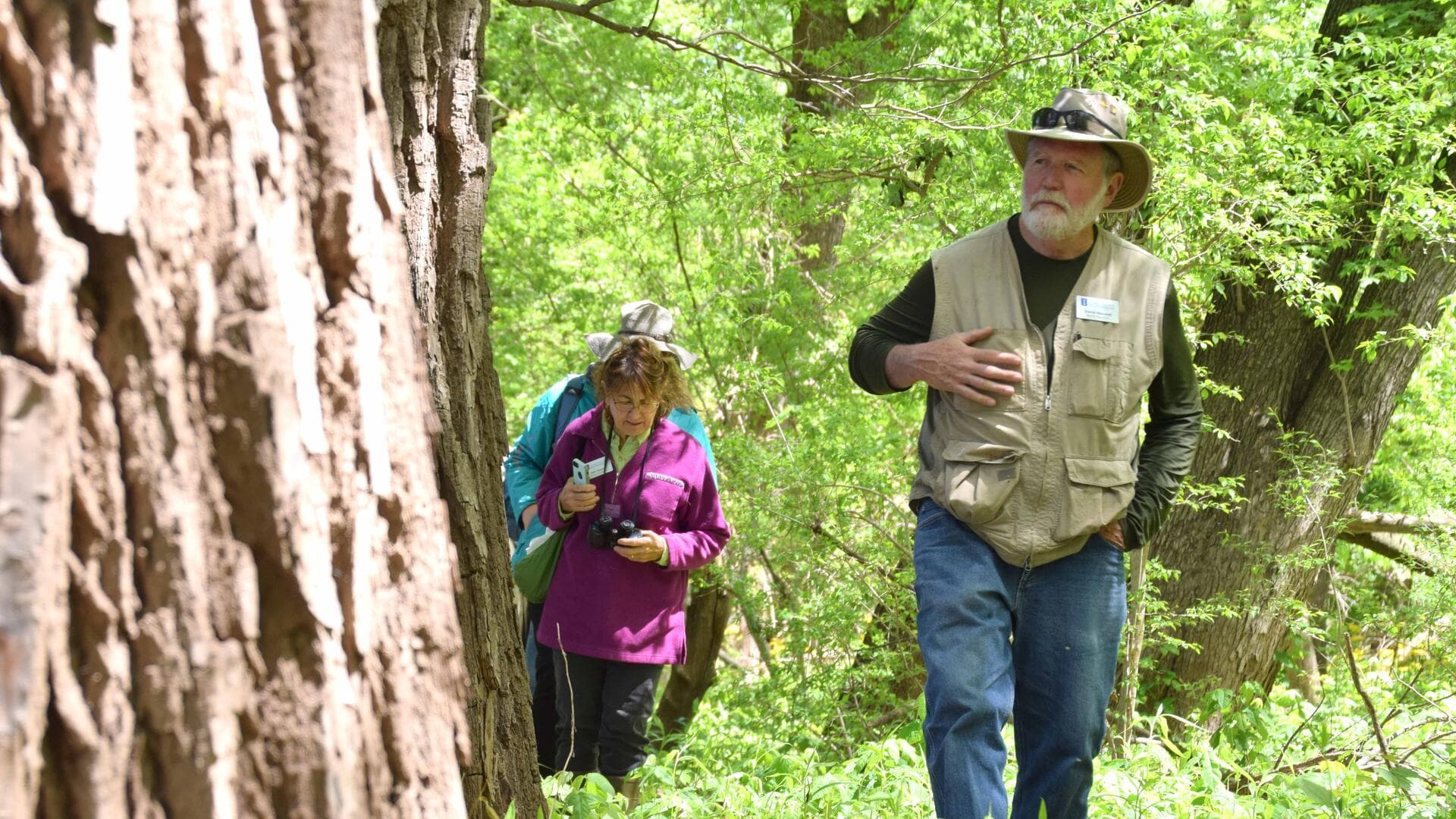 Illinois Extension offers mindfulness hike at Sand Ridge State Forest