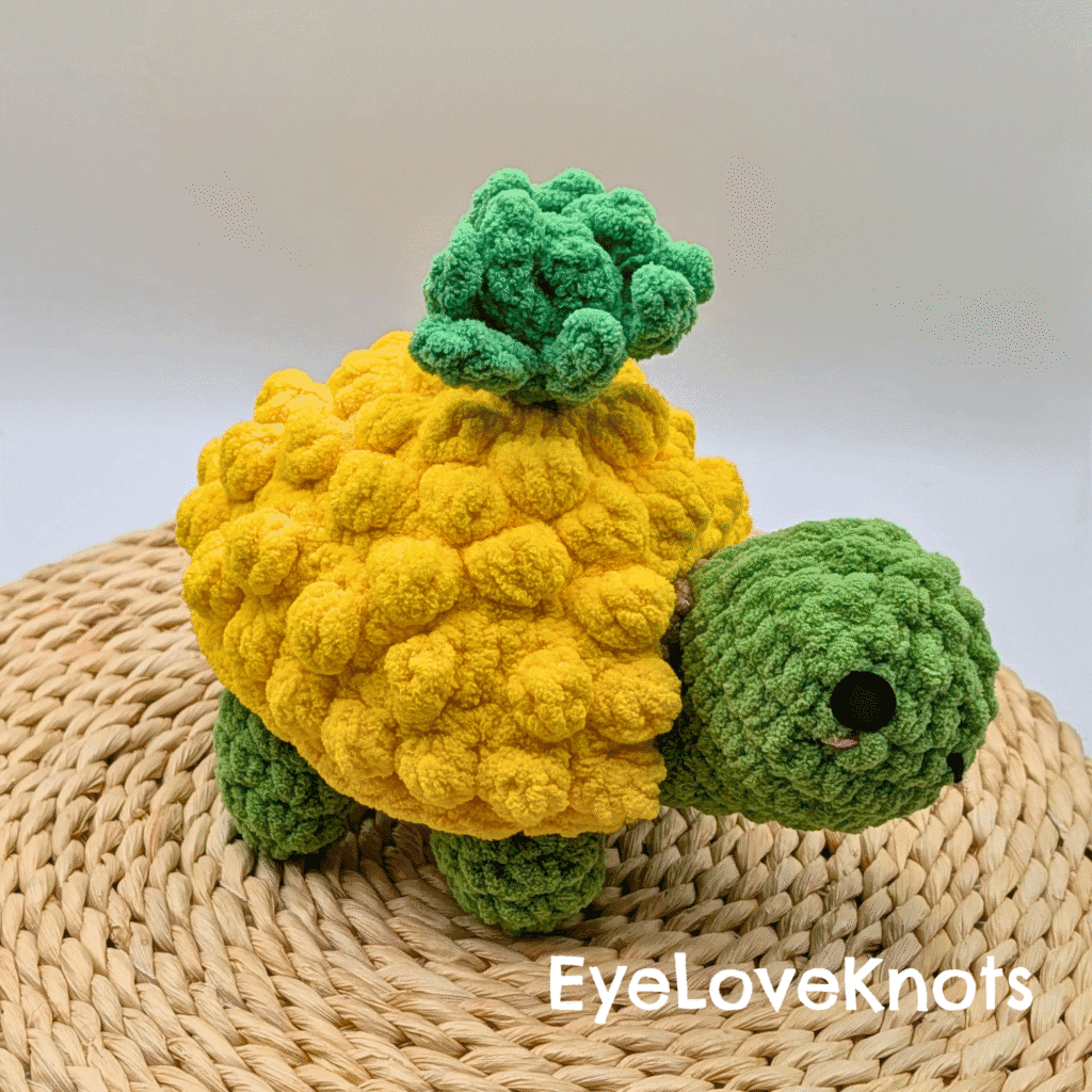 EyeLoveKnots reviews Land Turtle Dress Up set with fruit shells