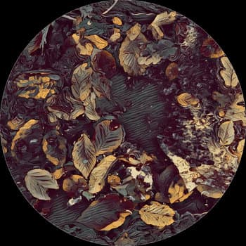 Caesar’s EP017 extends a rapid 2026 run of Romanian minimal techno