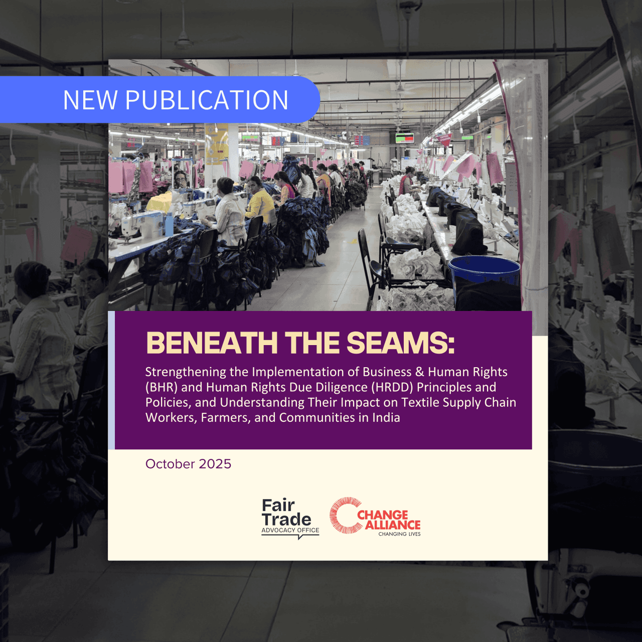 Fairtrade tightens textile standard, boosting brand accountability and worker protections