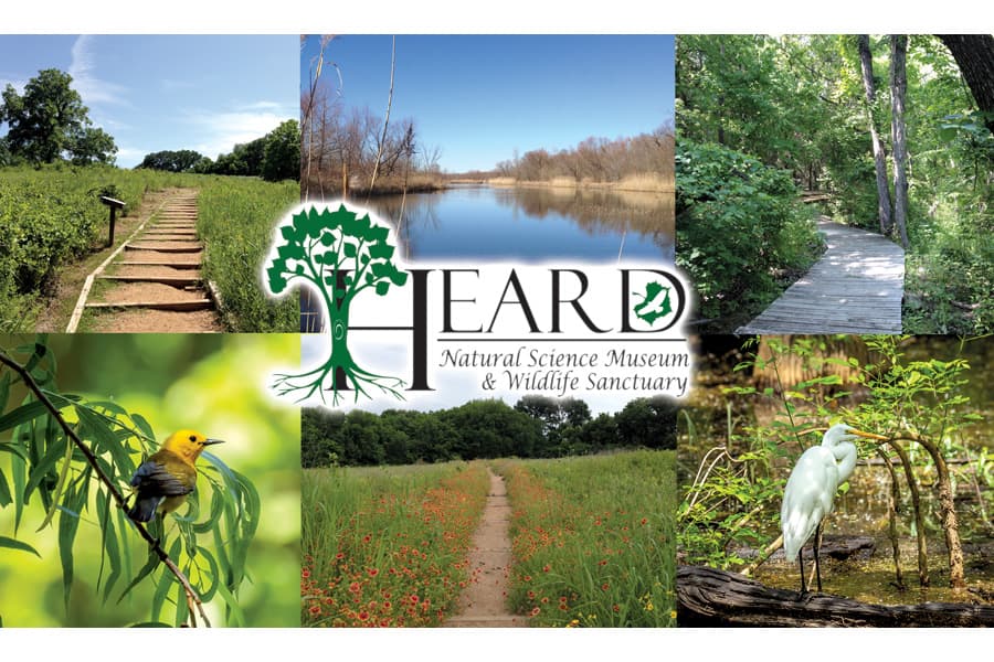 Heard Museum in McKinney Remains Regional Hub for Nature Education