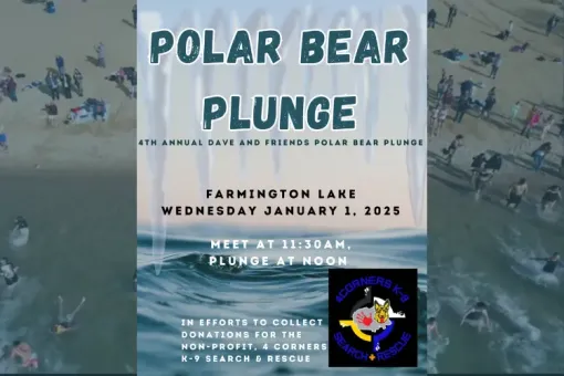 Farmington Seeks Community Nominations, Artists, and Polar Plunge Participants