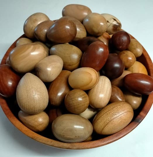 Fleurieu Woodturners' wooden-egg sale at Port Elliot raises $1,500 for bird conservation