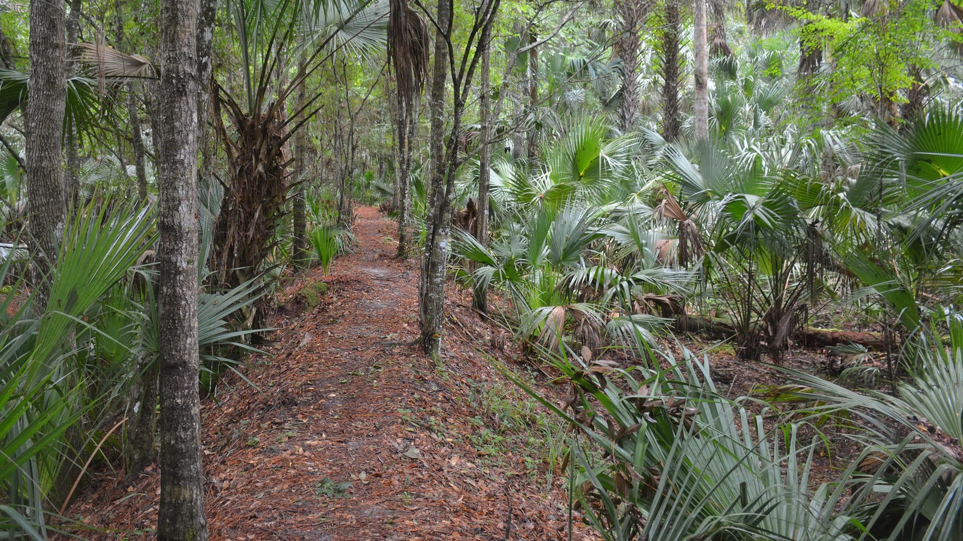 Black Bear Wilderness Area blends trails, wetlands and history