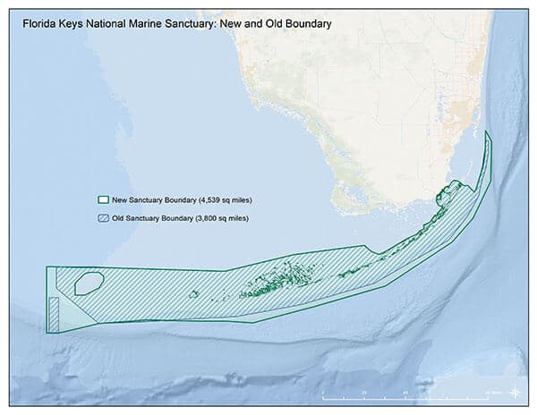 Florida Keys sanctuary protects reefs, seagrass and marine life