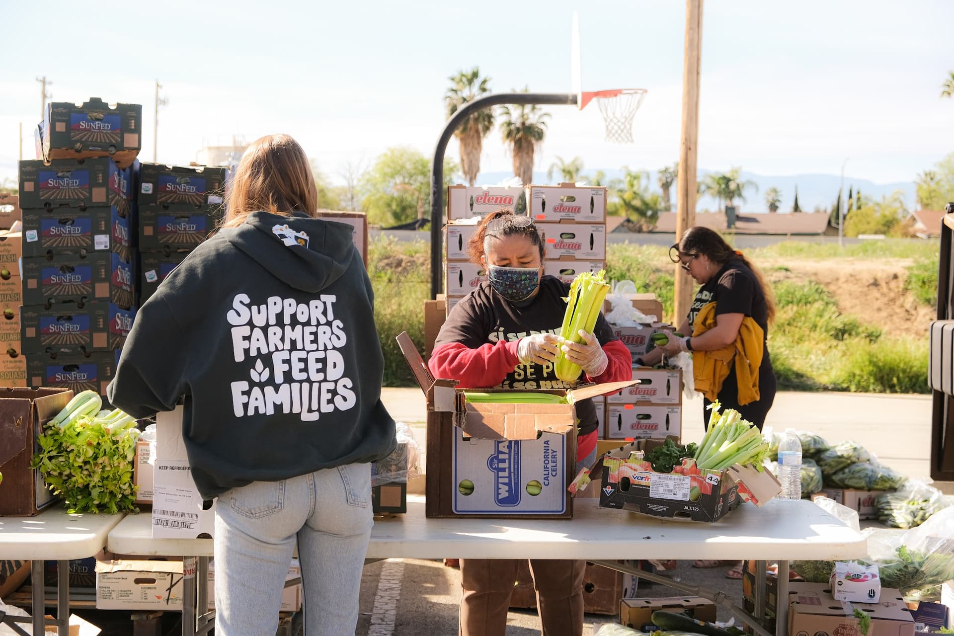 Farmlink pushes hunger groups to share loads and strengthen logistics
